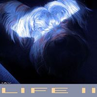 JAY - LIFE II
