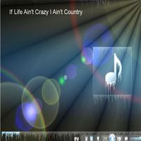 STEVEN DOUGLAS BICKHAM - If Life Ain't Crazy I Ain't Country