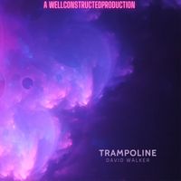 David Walker - Trampoline (Explicit)