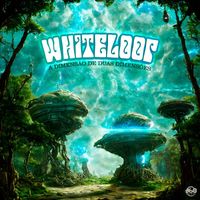 Whiteloop - A dimensão de duas dimensões