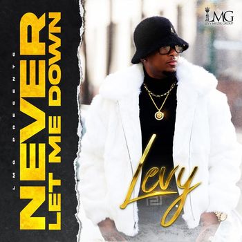 LEVY - NEVER LET ME DOWN