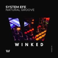 System Efe - Natural Groove