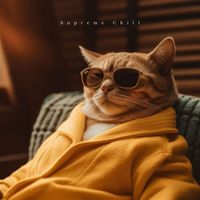 Music For Cats, Cat Music, Music for Pets - Supreme Chill