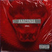 Owl - ANACONDA (Explicit)