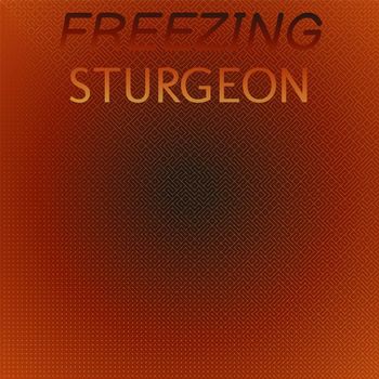 Various Artists - Freezing Sturgeon