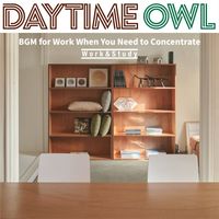 Daytime Owl - BGM for Work When You Need to Concentrate