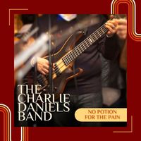 The Charlie Daniels Band - No Potion For The Pain