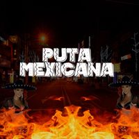 Ironic Project - Puta Mexicana (Explicit)