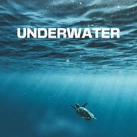 Joe Wilder - UNDERWATER