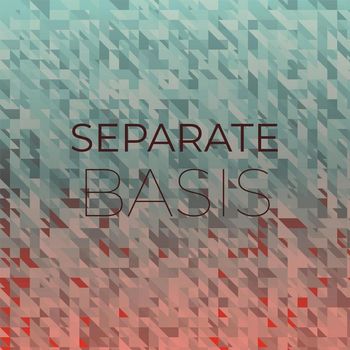 Various Artists - Separate Basis