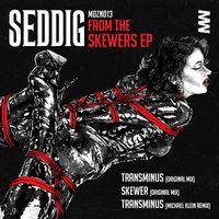 Seddig - From the Skewers EP