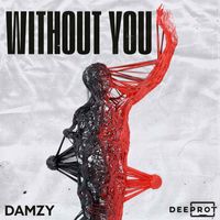 Damzy and DEEPROT - Without You