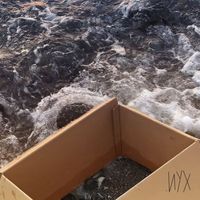 NYX - Il mare in una scatola