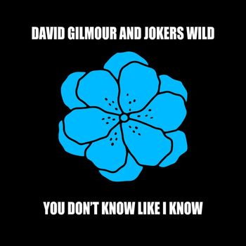 David Gilmour - You Don't Know Like I Know