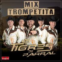Los Tigres de Parral - Mix Trompetita: Si te vas no hay lío / Tapame Tapame / El Pipiripau
