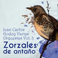 Juan Carlos Godoy - Zorzales de Antaño / Juan Carlos Godoy Varias Orquestas, Vol. 3