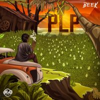 Beek - Plp