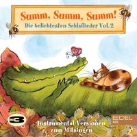 3Berlin - Summ, Summ, Summ! - Die beliebtesten Schlaflieder Vol. 2 (Instrumental-Versionen zum Mitsingen)
