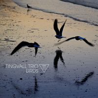 Tingvall Trio - Africa