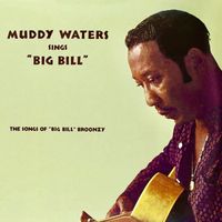 Muddy Waters - Muddy Waters Sings Big Bill Broonzy (Remastered)