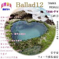 TANA-P全宇宙フォーク保存協会 - Ballad12