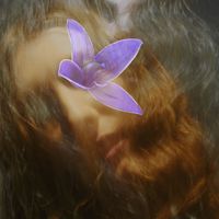MORA - Flores húmedas violetas