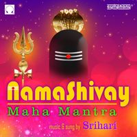 Srihari - Namashivay Mahamantra