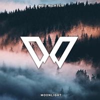 Neil Richter - Moonlight