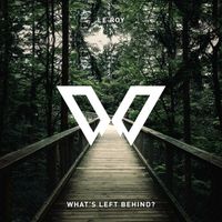 Le Roy - What's Left Behind?