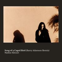 Nadine Khouri - Song of a Caged Bird (Barry Adamson Remix)