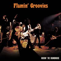 Flamin' Groovies - Please Please Me (Live 1978)