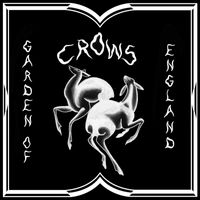 Crows - Garden of England