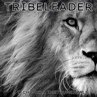 Tribeleader - TECH DRILL INSTRUMENTALS