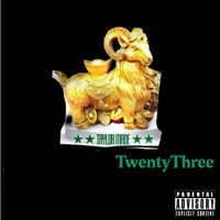 Taylor Made - 23 (Explicit)