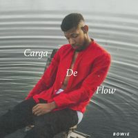 Bowie - Carga de Flow