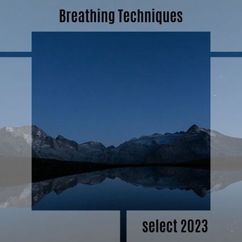 Various Artists - Breathing Techniques Select 2023
