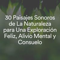 Oasis de Détente et Relaxation - 30 Paisajes Sonoros de La Naturaleza para Una Exploración Feliz, Alivio Mental y Consuelo