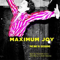 Maximum Joy - Searching for a Feeling (BBC R1 Session)