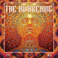 David James - The Awakening (Explicit)