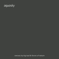 Aquasky - Tranquility (Big Bud Remix) / Tranquility (Forces of Nature Remix)