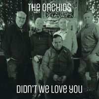 The Orchids - Didn't We Love You