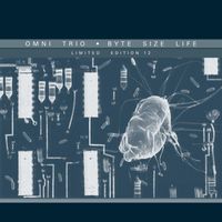 Omni Trio - Byte Size Life / Twin Town Karaoke (Silent Storm Remix)