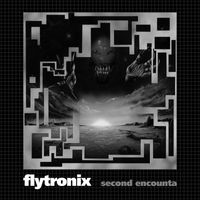 Flytronix - Rare Tear Pt 1 / Ready Ta Flo