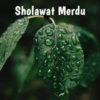 Cool Project - Sholawat Merdu