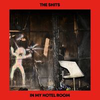 The Shits - In My Hotel Room (Explicit)