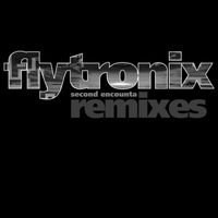Flytronix - Ready Ta Flo (Dom & Roland Remix) / Rare Tear Pt 2