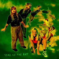 Plastic Cactus - Year of the Rat