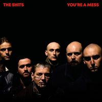 The Shits - You're A Mess (Explicit)