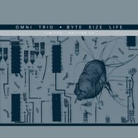 Omni Trio - Byte Size Life (Shimon Remix) / Byte Size Life (Mr Scruff Remix)