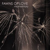 Fawns of Love - Momentary